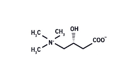 L - Carnitine